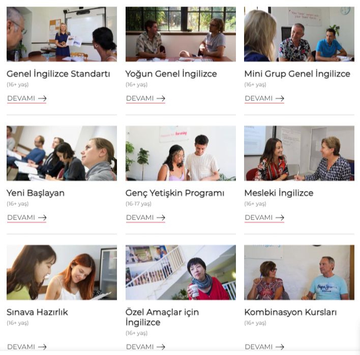 BELS Eğitim Programları